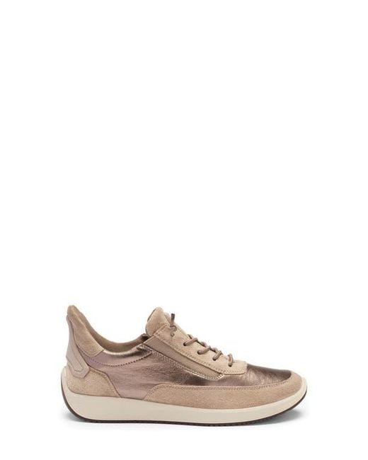 Ara Multicolor Lysa Low Top Sneaker
