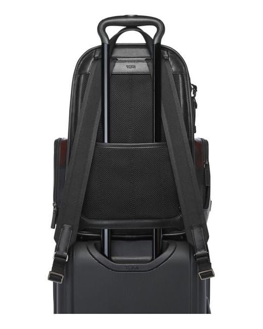 Tumi Brown Hadden Backpack for men