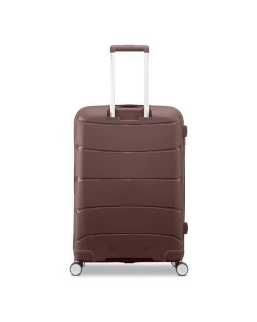 Samsonite Brown Outline Pro Medium Spinner