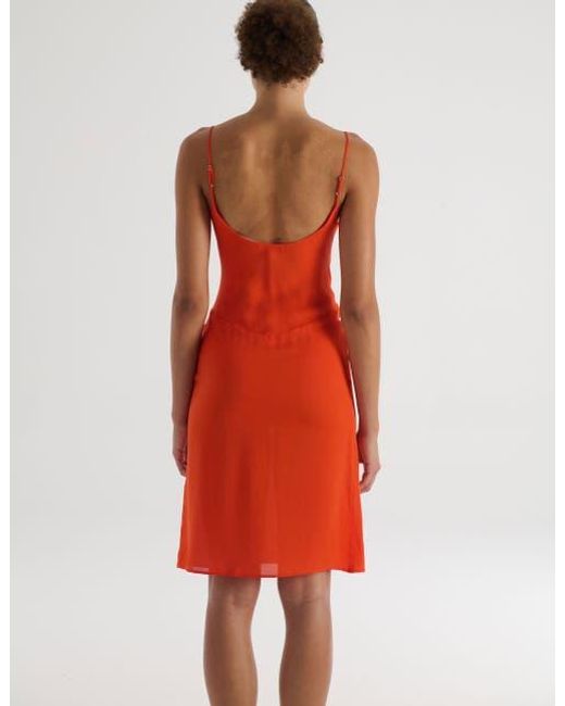 Araks Red Cadel Slip