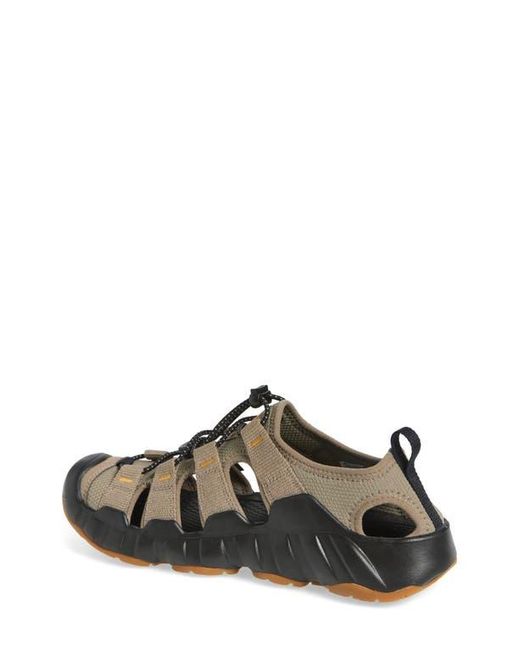 Keen Brown Hyperport H2 Sandal for men