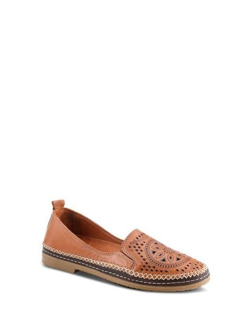 Spring Step Brown Ingrid Flat