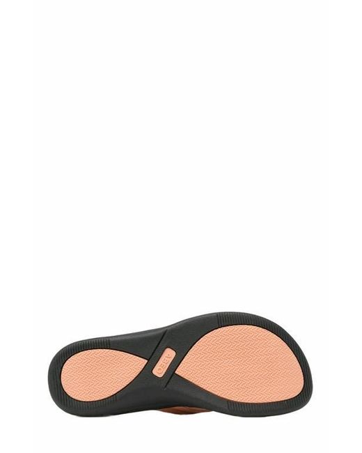 ABEO Multicolor Laguna Thin Strap