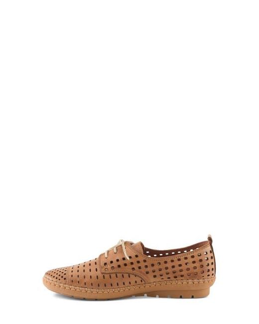 Spring Step Brown Deysi Perforated Derby