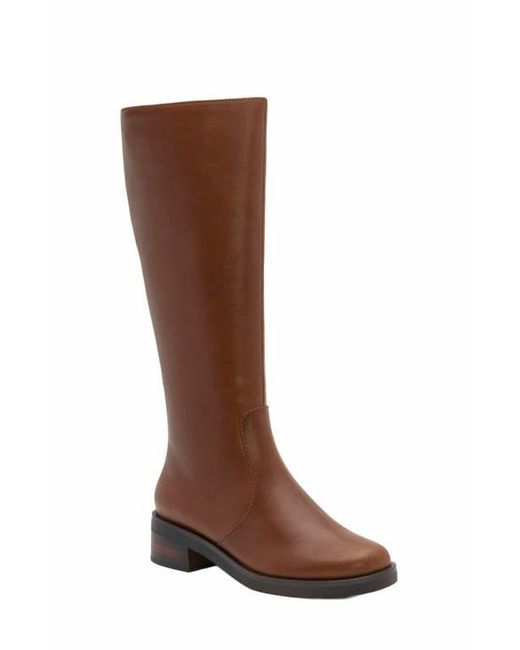 ABEO Brown Traverse Tall Boot