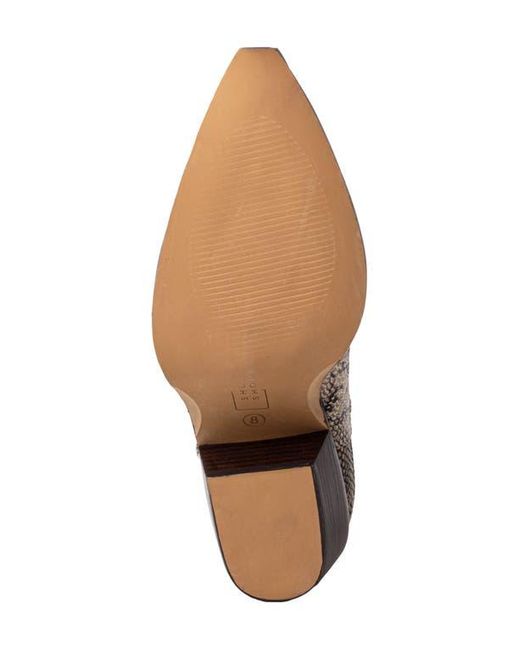 Shu Shop Brown Zouzou Western Boot