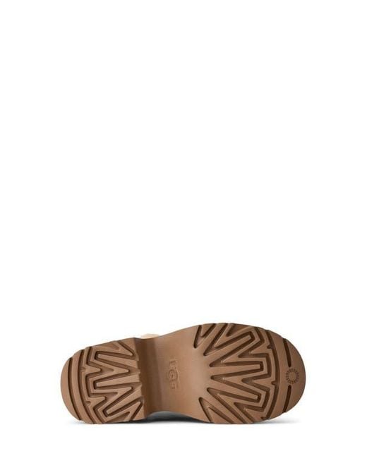 Ugg Brown Esmee Leather Cuffable Tall Boot