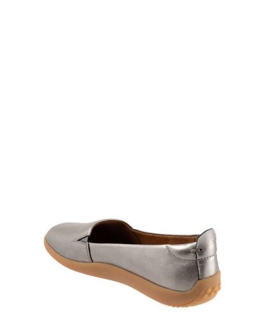 Softwalk® Brown Deva Flat