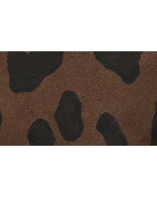 Clare V. Brown Petit Moyen Woven Messenger Bag