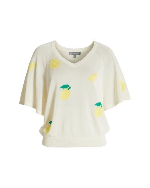 Wit & Wisdom Multicolor V-Neck Batwing Sweater