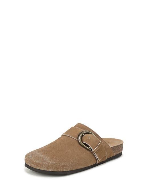 Sam Edelman Brown Alyce Mule