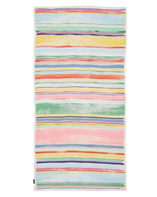 Echo Multicolor Painted Stripe Scarf