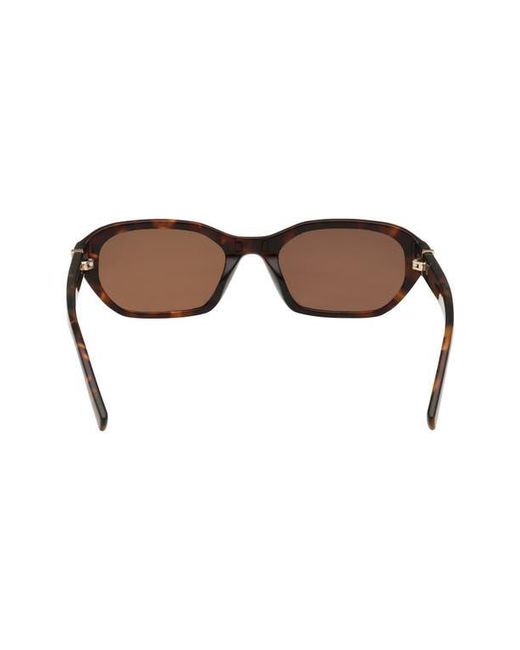 Abercrombie & Fitch Brown 52Mm Oval Sunglasses