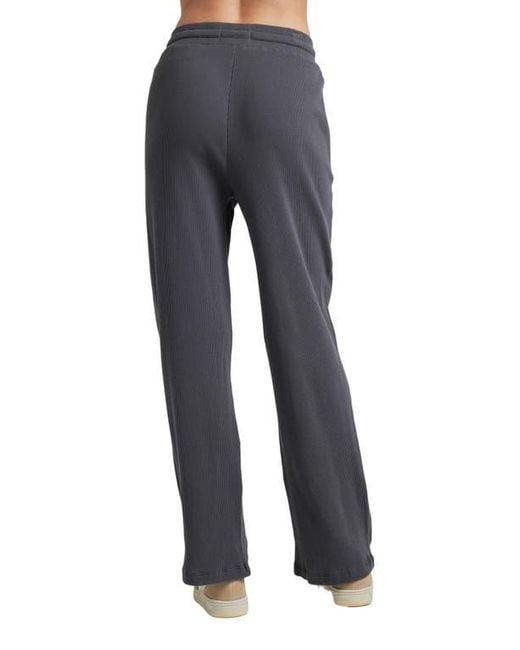 Losano Blue Organic Cotton Drawstring Pant