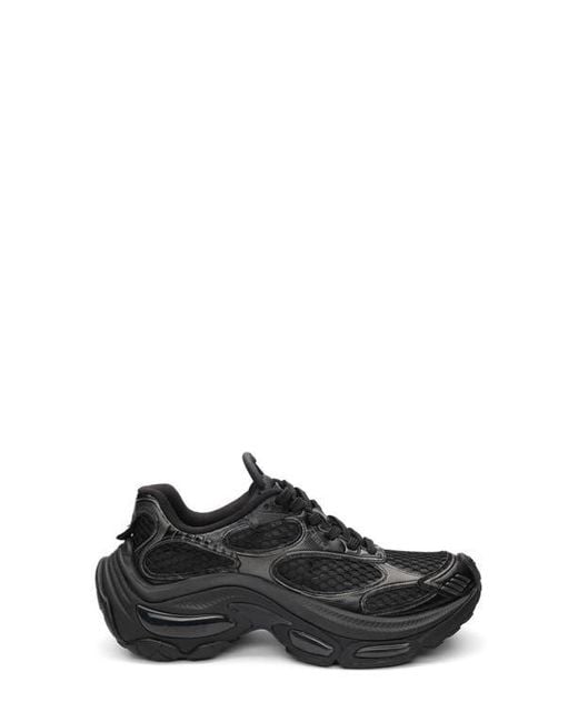 Ash Black Dragon Sneaker