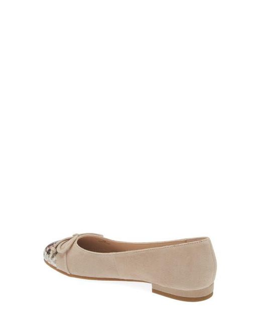 Pelle Moda Natural Saida Ballet Flat
