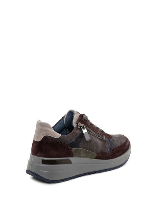 Ara Brown Gardenia Sneaker