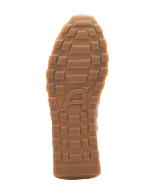 Ash Brown Killer Low Profile Sneaker