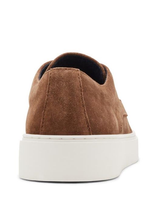 Steve Madden Brown Frankk Chukka Shoe for men