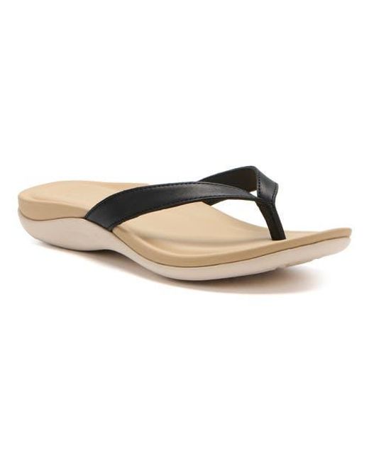 ABEO Brown Oasis Flip Flop