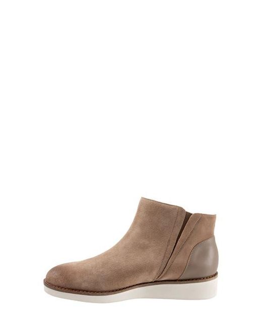 Softwalk® Brown Wesley Bootie