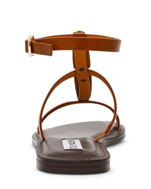 Steve Madden Brown Alma Gladiator Sandal