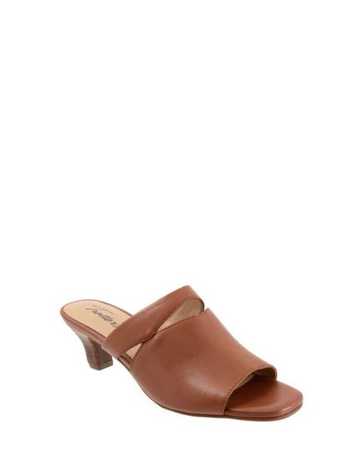 Trotters Brown Ninette Kitten Heel Slide Sandal