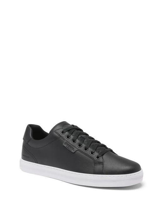 Sorel Black Cyprus Wp Sneaker for men