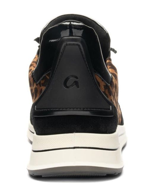 Ara Black Ovation Sneaker