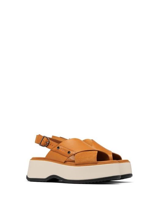 Sorel Brown Dayspring Crisscross Sandal