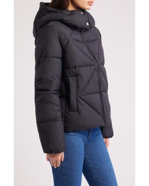 Sam Edelman Black Cropped Puffer Jacket