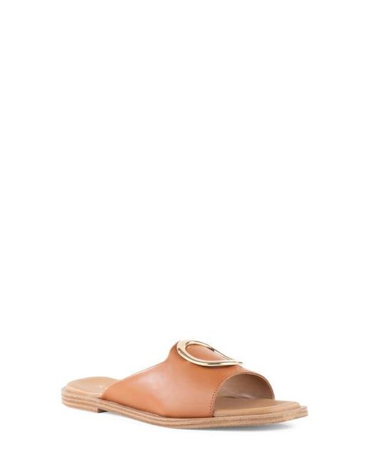 Seychelles Brown End Of Time Slide Sandal