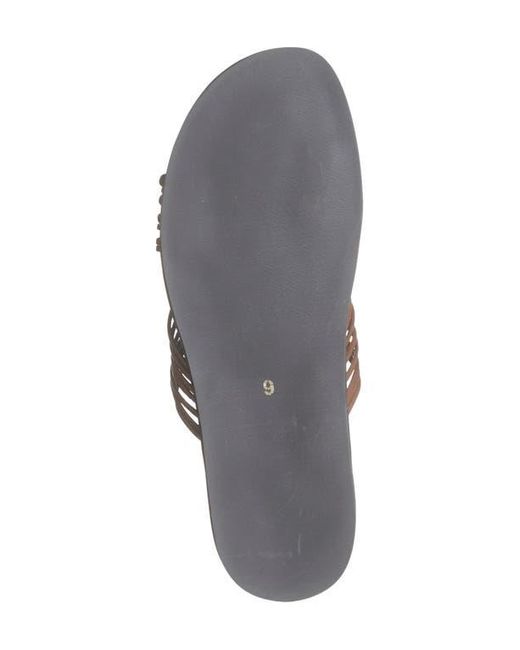 Jeffrey Campbell Brown Plait Sandal
