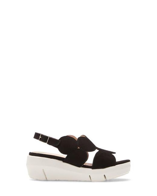 Wonders Black Platform Sandal