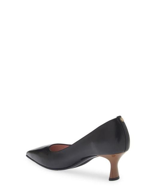 Naot Multicolor Margot Pointed Toe Pump