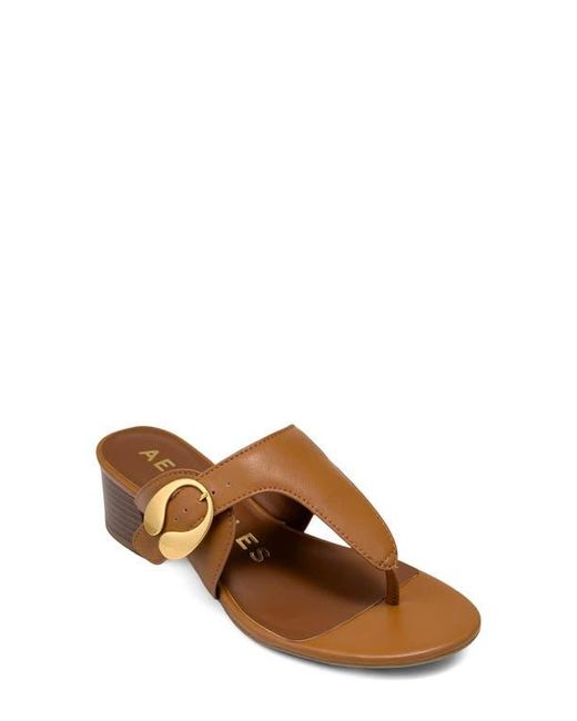 Aerosoles Brown Cloude Flip Flop