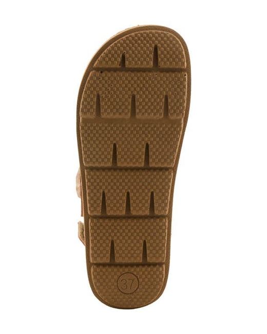 Flexus by Spring Step Brown Bravies Ankle Strap Sandal