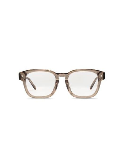 COVRY Brown Aster Light Blocking Glasses