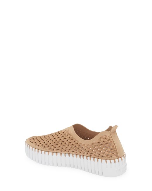 ilse jacobsen tulip shoes nordstrom