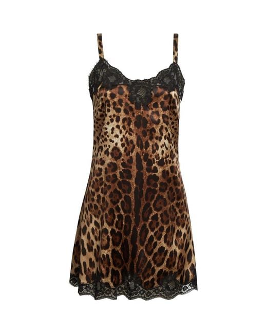 Dolce & Gabbana Brown Leopard Print Stretch Satin & Lace Slipdress