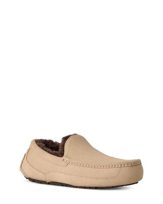 Ugg Brown Ascot Loafer Slipper for men