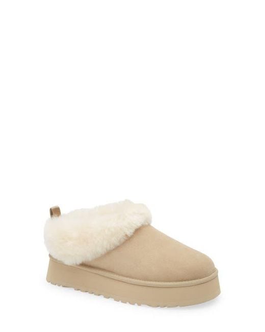 Ugg Natural Tazzelle Genuine Shearling Collar Slipper