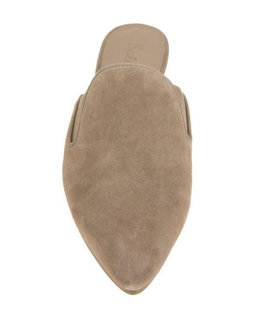 Splendid Brown Liza Pointed Toe Mule