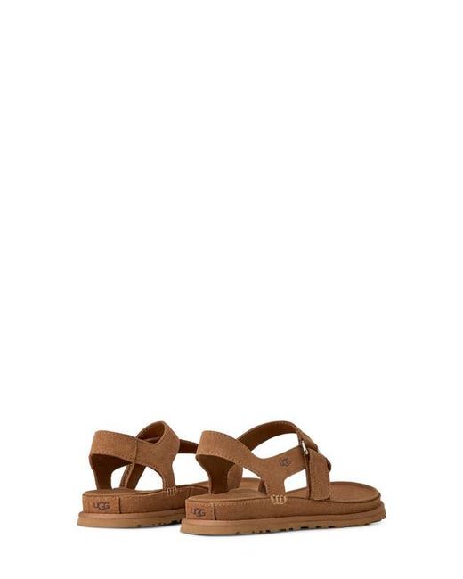 Ugg Brown Goldengaze Toe Post Suede Sandal