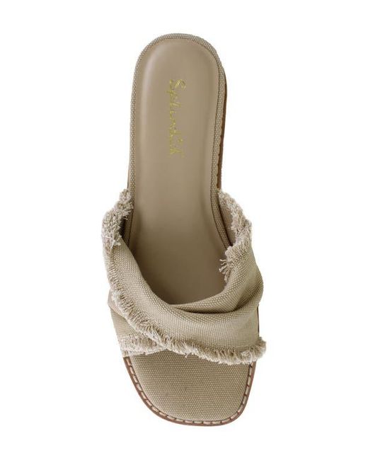Splendid Gray Brooklyn Slide Sandal