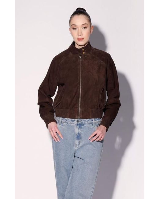 Walter Baker Brown Bowie Suede Bomber Jacket