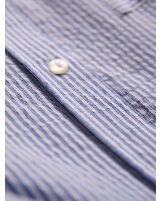 Celtic & Co. Purple Side Split Striped Shirt