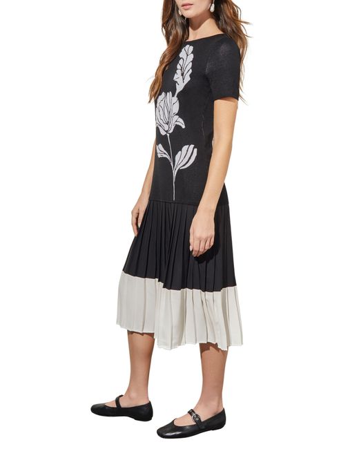 Ming Wang Black Pleated Drop Waist Knit Midi Dress