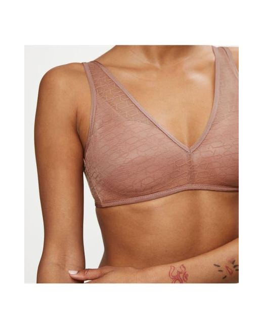 Triumph Natural Signature Sheer Wireless Bra