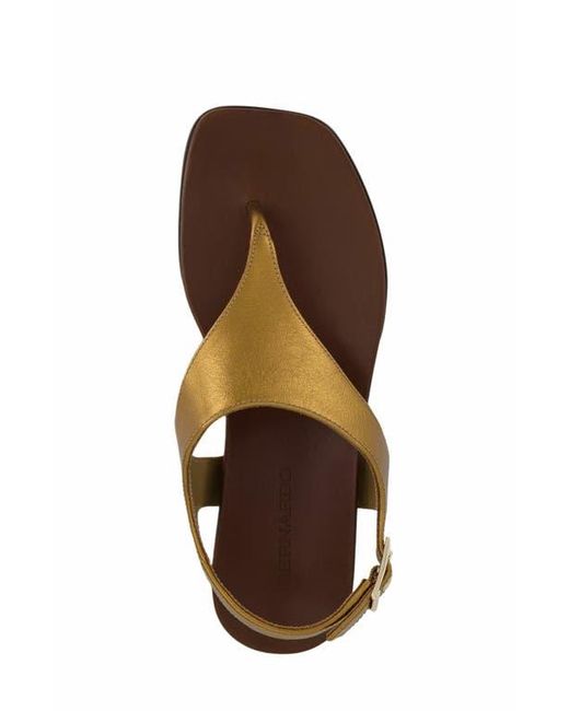 Bernardo Brown Concord Demi-Wedge Sandal